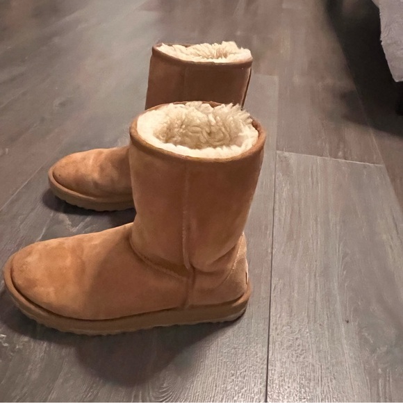 Chestnut UGGS size 7 - Picture 2 of 5